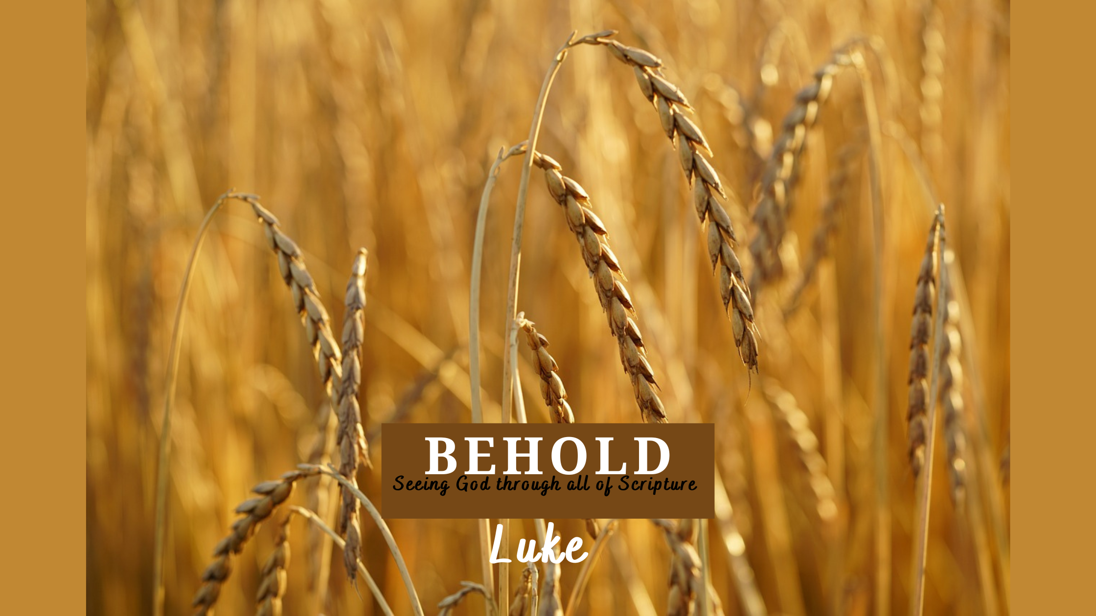 The Lord of the Harvest: A Call to Prayer and Labor
