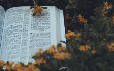 Reverence for God – Casual Familiarity vs Reverent Obedience (365/3)